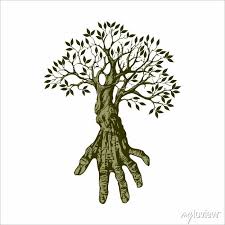 Human Hands And Tree With Green Leaves