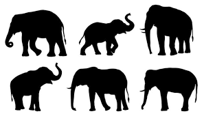 Elephant Icon Images Browse 126 706
