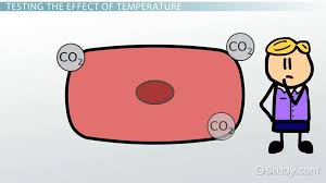 Temperature Effects On Cellular