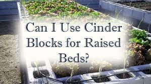 Raised Bed Out Of Cinder Blocks