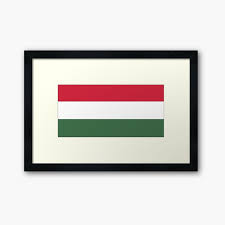 Hungary Flag Hungarian Flag Hungarian
