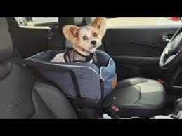 Cathpetic Dog Car Seat Review