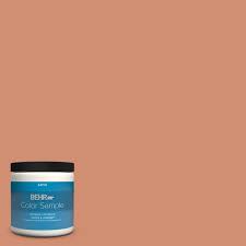 Exterior Paint Primer Color Sample