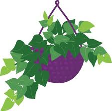 Potted Plant Hanging Vector Art Icons