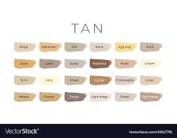 Tan Paint Color Swatches With Shade