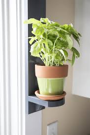 Simple Indoor Herb Shelf Kreg Tool
