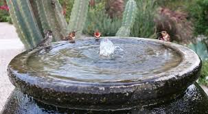 Installing A Bird Bath