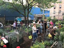 Q Gardens Awarded Nyc Parks Greenthumb