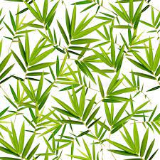 769 Seamless Pattern Bamboo Leaf