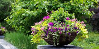Perfect Pots Container Inspiration For