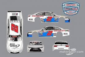 Paint Schemes For Busch North Throwback