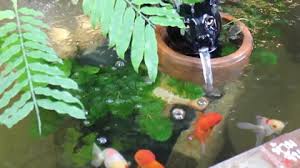 Fish Pond And Waterfall Decorated In