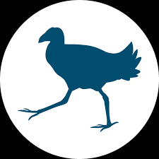 Rotorua Web Design Graphic Design