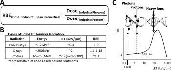 variable rbe for proton beam therapy