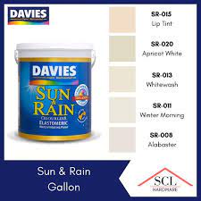 4liters Davies Sun And Rain Paint
