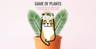 House Plants And Cats Top Ten Toxic