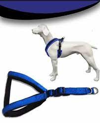 Dog Harness Belt At Rs 15 Piece