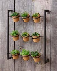 Hanging Planter Indoor Outdoor Herb
