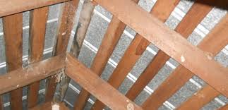 what are roofing purlins and battens