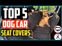 Top 5 Best Dog Car Seat Covers In