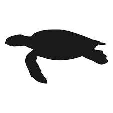 Sea Turtle Swimming Silhouette Ad