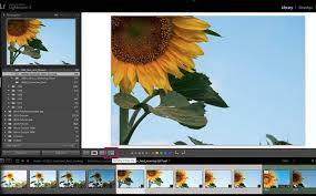 How To Edit Flower Photos 9 Tips For