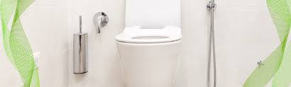 High Quality Washdown Toilet One