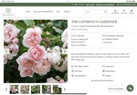 Can Anyone Recommend A Rose Gransnet