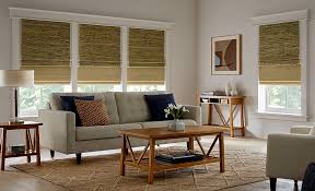 Window Treatments With Light Control