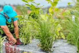 How To Use A Weed Mat Australian Guide