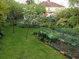 20 Vegetable Garden Layout Ideas The