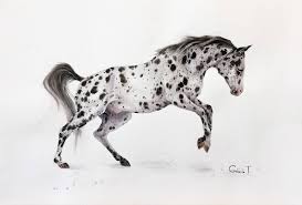 Appaloosa Horse Painting By Tatiana