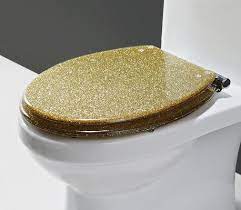 Colorful Toilet Seats Lid Covers With