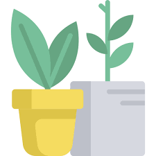 Plants Special Flat Icon