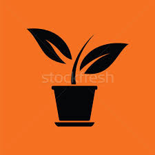 Plant In Flower Pot Icon Vector