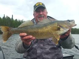 Fall Walleye Fishing In Grand Rapids Mn