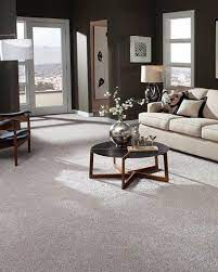 Best Carpet For Pets Pet Friendly