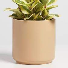 46 Best Pots And Planters On