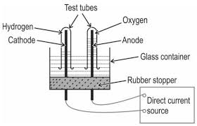 Cbse Class 10 Science 2024 25 Chapter