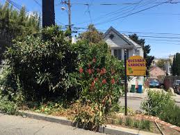 Bayview Residents Keep Quesada Gardens