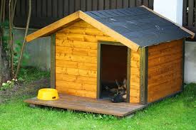 How To Build Paint A Doghouse True