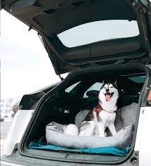 Dog Car Seat Bed With Seat Belts