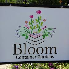 Bloom Container Gardens 1 Tip From 3