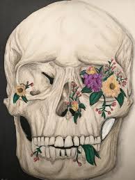 Colored Pencil Drawing Of Skull