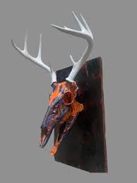 Deer Skull With Antlers And Bottom Jaw
