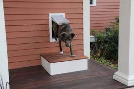 Building A Step For A Dog Door