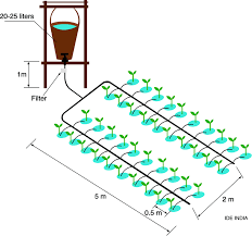 A Simple Bucket Kit For Irrigating A