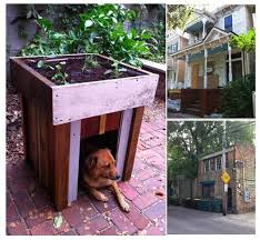 Dog House With A Rooftop Garden