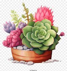 Colorful Potted Plant With Diverse