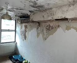 Inside Family S Horror Home With Mould